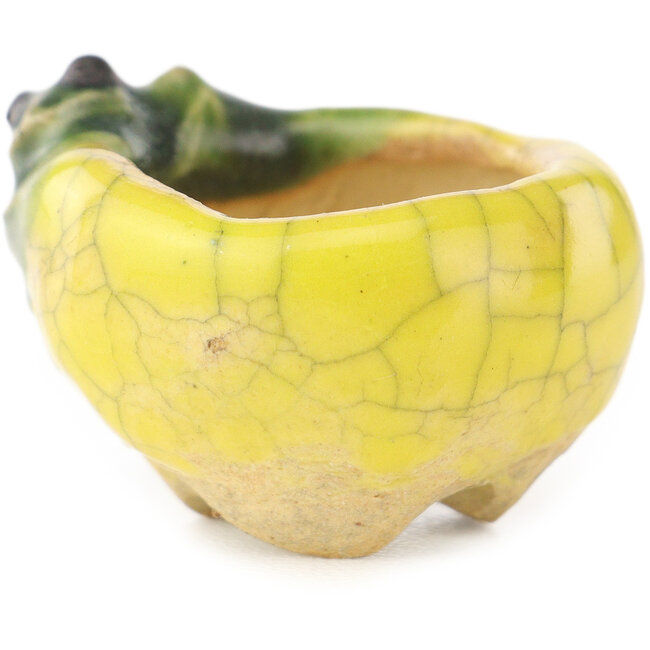 Vaso bonsai rotondo giallo e verde di Masashi Furumoto - 26 x 26 x 17 mm