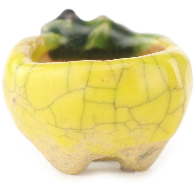 Vaso bonsai rotondo giallo e verde di Masashi Furumoto - 26 x 26 x 17 mm