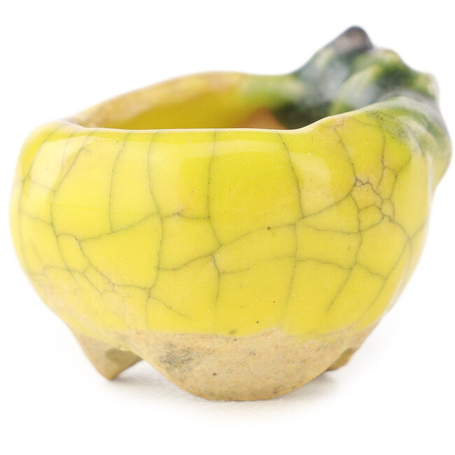 Round yellow and green bonsai pot by Masashi Furumoto - 26 x 26 x 17 mm