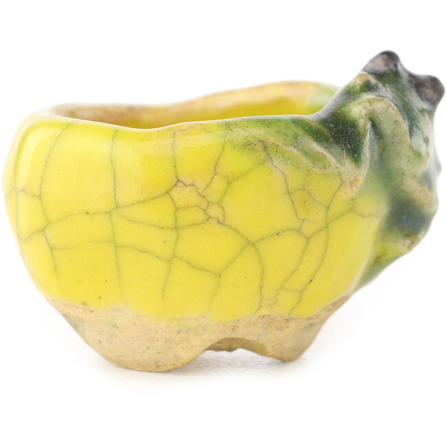 Round yellow and green bonsai pot by Masashi Furumoto - 26 x 26 x 17 mm