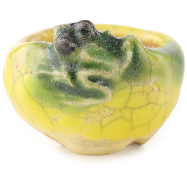 Pot à bonsaï rond jaune et vert de Masashi Furumoto - 26 x 26 x 17 mm