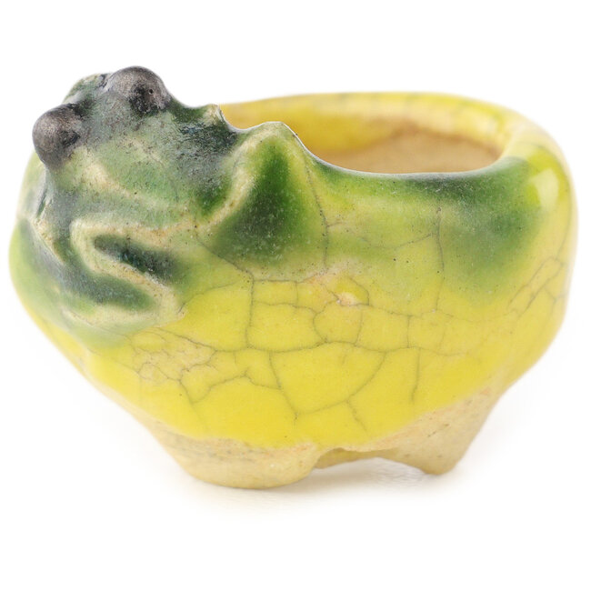 Pot à bonsaï rond jaune et vert de Masashi Furumoto - 26 x 26 x 17 mm