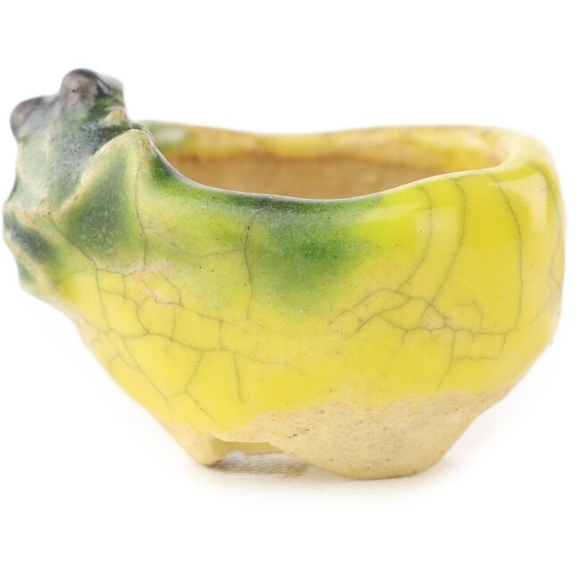 Runder gelber und grüner Bonsai-Topf von Masashi Furumoto - 26 x 26 x 17 mm