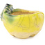 Pot à bonsaï rond jaune et vert de Masashi Furumoto - 26 x 26 x 17 mm