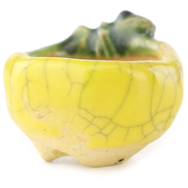 Vaso bonsai rotondo giallo e verde di Masashi Furumoto - 26 x 26 x 17 mm