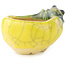 Pot à bonsaï rond jaune et vert de Masashi Furumoto - 26 x 26 x 17 mm