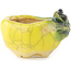 Pot à bonsaï rond jaune et vert de Masashi Furumoto - 26 x 26 x 17 mm