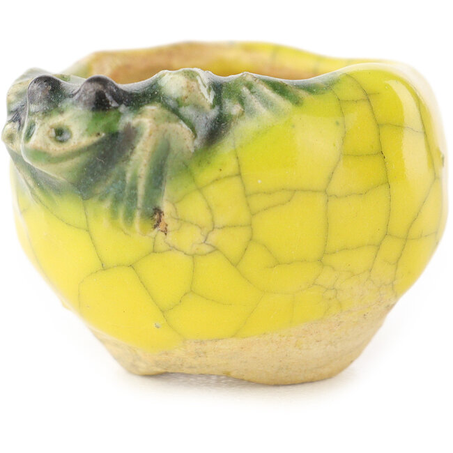 Maceta redonda amarilla y verde para bonsái de Masashi Furumoto - 26 x 26 x 17 mm