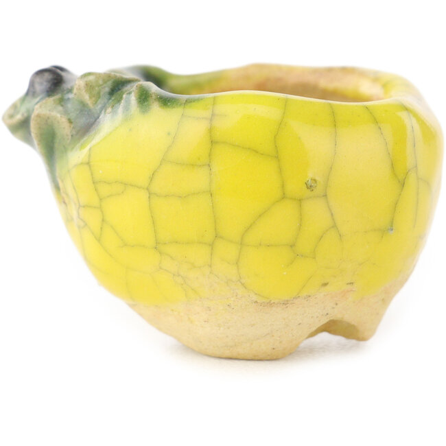 Vaso bonsai rotondo giallo e verde di Masashi Furumoto - 26 x 26 x 17 mm