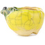 Pot à bonsaï rond jaune et vert de Masashi Furumoto - 26 x 26 x 17 mm