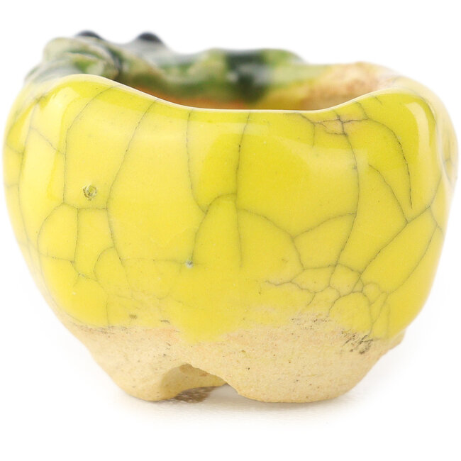 Maceta redonda amarilla y verde para bonsái de Masashi Furumoto - 26 x 26 x 17 mm