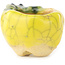 Pot à bonsaï rond jaune et vert de Masashi Furumoto - 26 x 26 x 17 mm