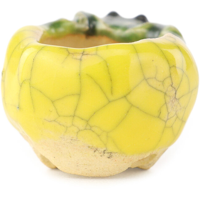 Round yellow and green bonsai pot by Masashi Furumoto - 26 x 26 x 17 mm