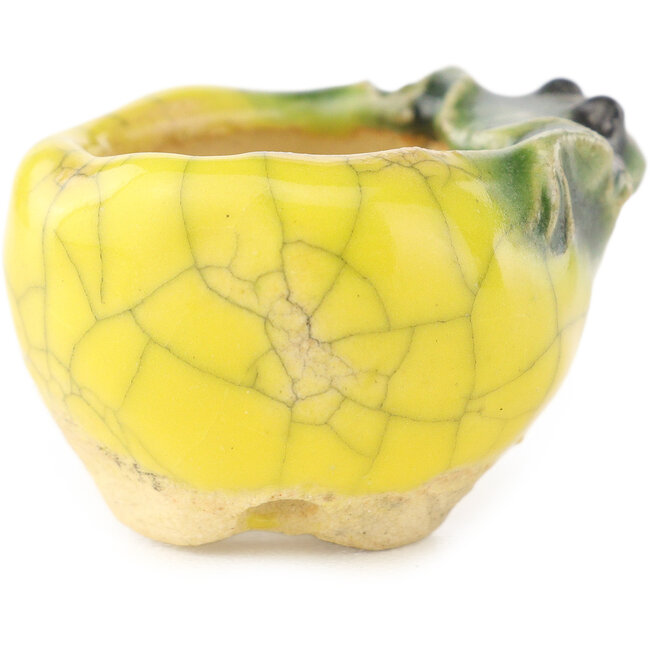 Vaso bonsai rotondo giallo e verde di Masashi Furumoto - 26 x 26 x 17 mm