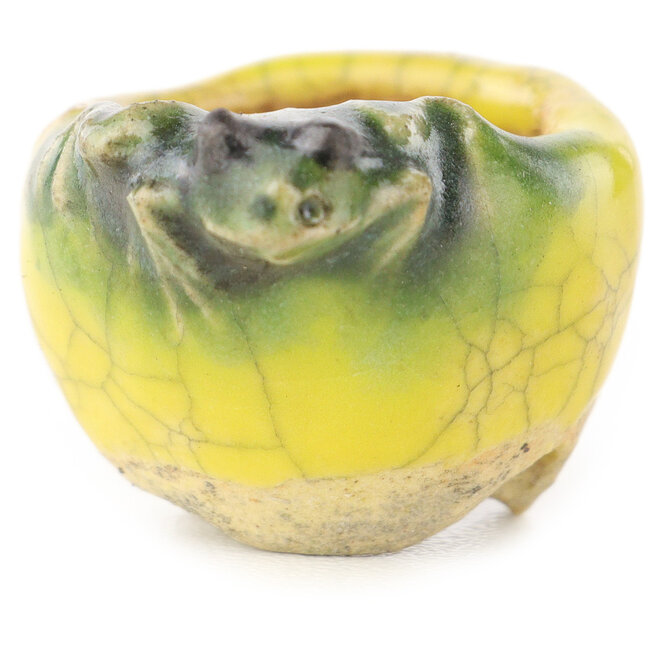 Pot à bonsaï rond jaune et vert de Masashi Furumoto - 26 x 26 x 17 mm