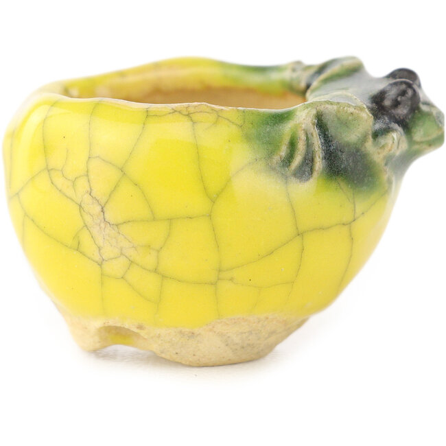 Maceta redonda amarilla y verde para bonsái de Masashi Furumoto - 26 x 26 x 17 mm