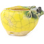 Pot à bonsaï rond jaune et vert de Masashi Furumoto - 26 x 26 x 17 mm