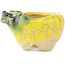 Pot à bonsaï rond jaune et vert de Masashi Furumoto - 26 x 26 x 17 mm