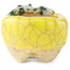 Pot à bonsaï rond jaune et vert de Masashi Furumoto - 26 x 26 x 17 mm