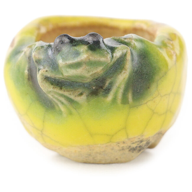Pot à bonsaï rond jaune et vert de Masashi Furumoto - 25 x 25 x 15 mm