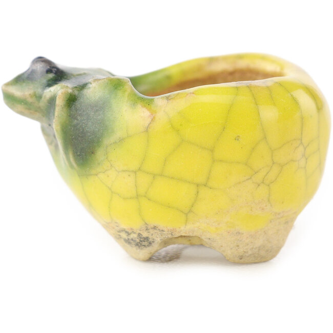 Pot à bonsaï rond jaune et vert de Masashi Furumoto - 25 x 25 x 15 mm