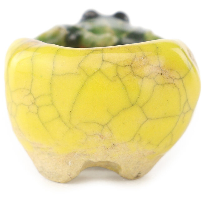 Vaso bonsai rotondo giallo e verde di Masashi Furumoto - 25 x 25 x 15 mm