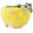 Pot à bonsaï rond jaune et vert de Masashi Furumoto - 25 x 25 x 15 mm