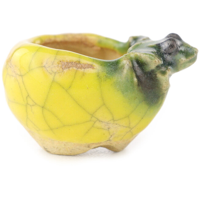 Pot à bonsaï rond jaune et vert de Masashi Furumoto - 25 x 25 x 15 mm