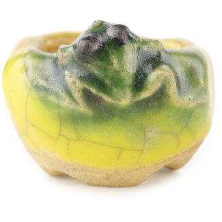 Masashi Furumoto Pot à bonsaï rond jaune et vert de 26 mm par Masashi Furumoto, Japon