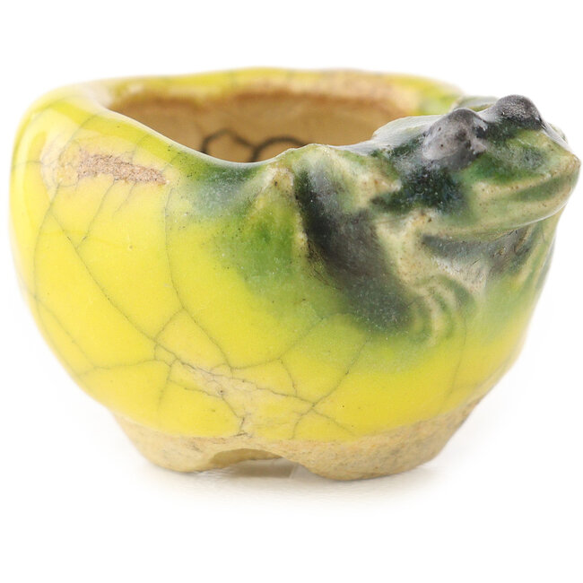 Vaso bonsai rotondo giallo e verde di Masashi Furumoto - 25 x 25 x 15 mm
