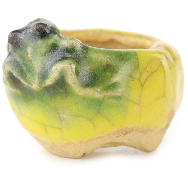 Maceta redonda amarilla y verde para bonsái de Masashi Furumoto - 26 x 26 x 17 mm