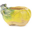 Pot à bonsaï rond jaune et vert de Masashi Furumoto - 26 x 26 x 17 mm