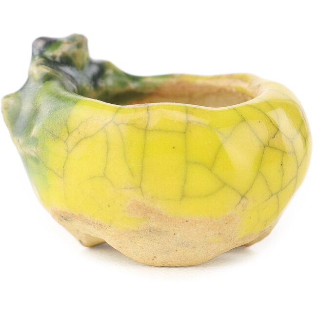 Round yellow and green bonsai pot by Masashi Furumoto - 26 x 26 x 17 mm