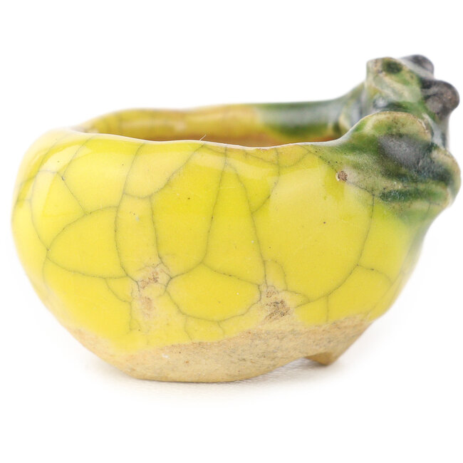 Maceta redonda amarilla y verde para bonsái de Masashi Furumoto - 26 x 26 x 17 mm