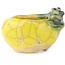 Pot à bonsaï rond jaune et vert de Masashi Furumoto - 26 x 26 x 17 mm