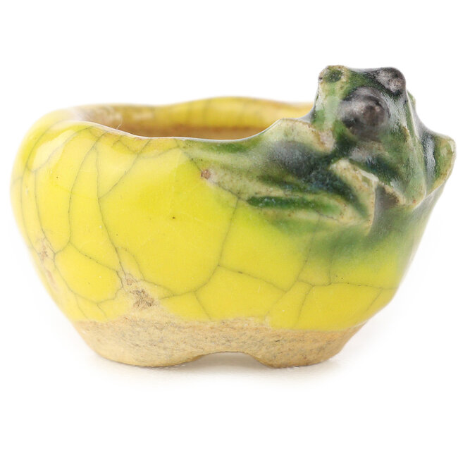 Ronde geel-groene bonsaipot van Masashi Furumoto - 26 x 26 x 17 mm