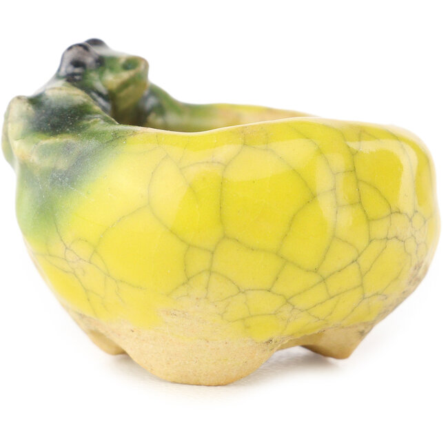 Pot à bonsaï rond jaune et vert de Masashi Furumoto - 26 x 26 x 17 mm