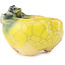Round yellow and green bonsai pot by Masashi Furumoto - 26 x 26 x 17 mm