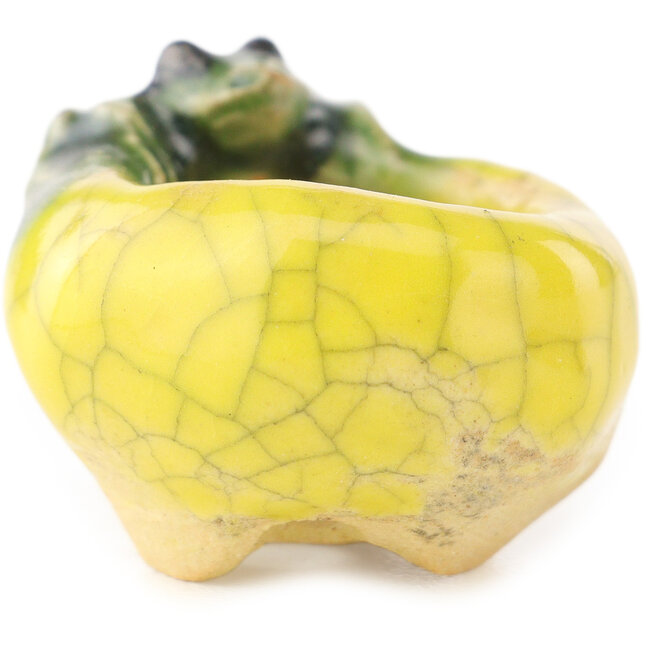 Vaso bonsai rotondo giallo e verde di Masashi Furumoto - 26 x 26 x 17 mm