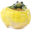 Pot à bonsaï rond jaune et vert de Masashi Furumoto - 26 x 26 x 17 mm