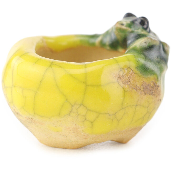 Round yellow and green bonsai pot by Masashi Furumoto - 26 x 26 x 17 mm
