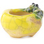 Pot à bonsaï rond jaune et vert de Masashi Furumoto - 26 x 26 x 17 mm