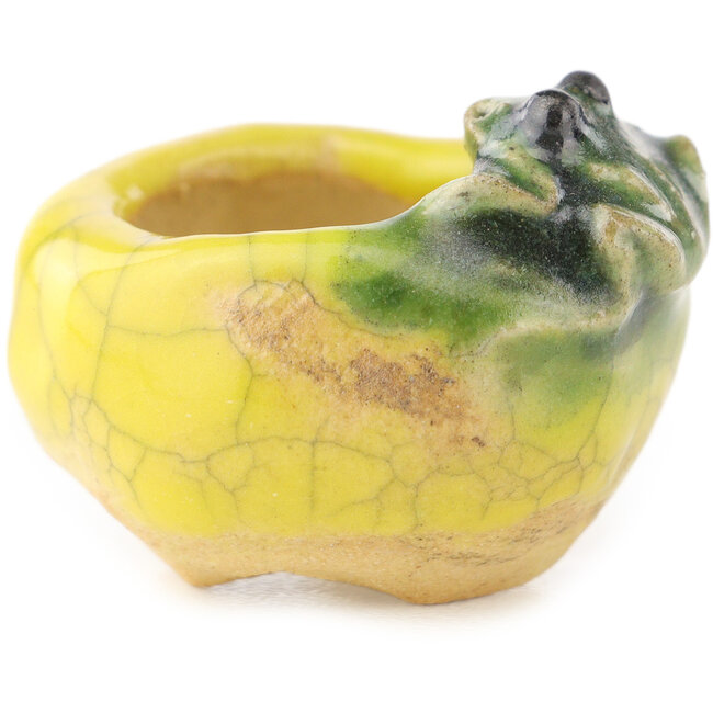 Ronde geel-groene bonsaipot van Masashi Furumoto - 26 x 26 x 17 mm