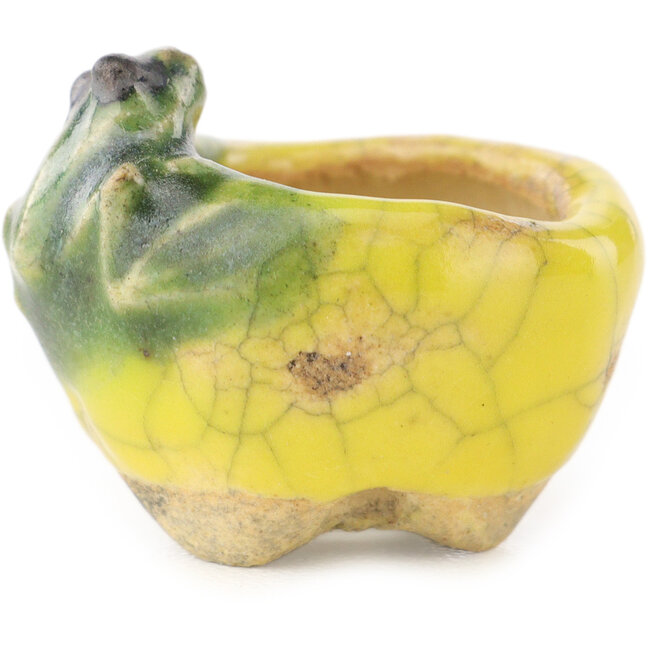 Vaso bonsai rotondo giallo e verde di Masashi Furumoto - 24 x 24 x 18 mm