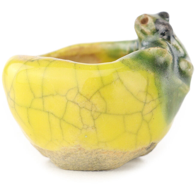 Round yellow and green bonsai pot by Masashi Furumoto - 24 x 24 x 18 mm