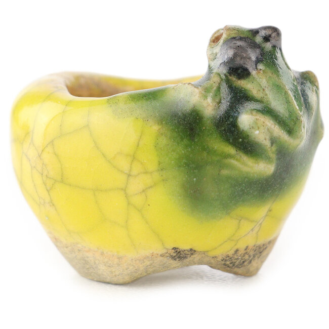 Maceta redonda amarilla y verde para bonsái de Masashi Furumoto - 24 x 24 x 18 mm