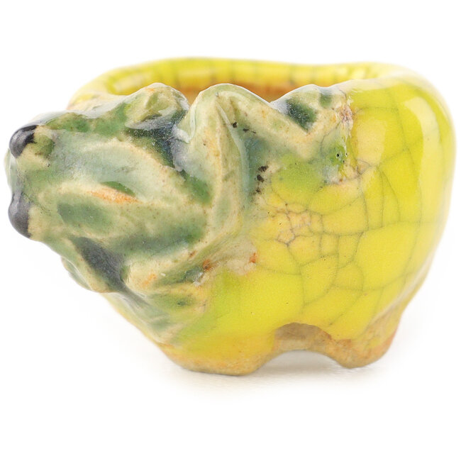 Pot à bonsaï rond jaune et vert de Masashi Furumoto - 24 x 24 x 18 mm