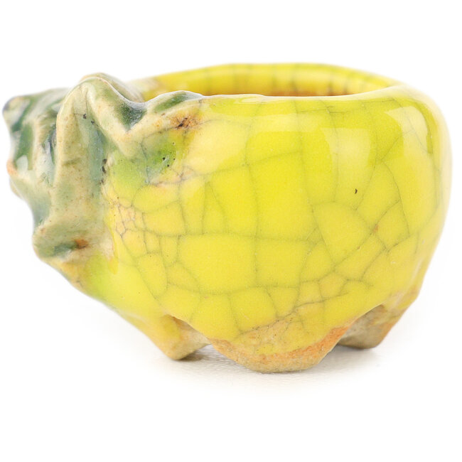 Round yellow and green bonsai pot by Masashi Furumoto - 24 x 24 x 18 mm