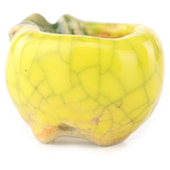 Pot à bonsaï rond jaune et vert de Masashi Furumoto - 24 x 24 x 18 mm