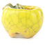Pot à bonsaï rond jaune et vert de Masashi Furumoto - 24 x 24 x 18 mm